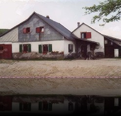 29 Route du Fromage - Ferme Auberge et fromagerie Salzbach